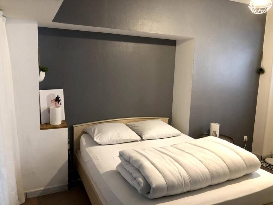 T2 Meuble Pour Curistes, Vacanciers Et Stagiaires Rochefort  Bagian luar foto